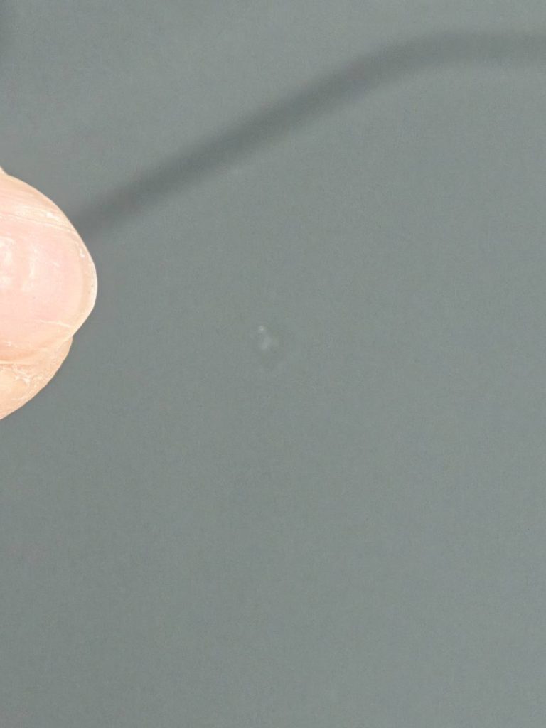 岡山市のお客様にフロントガラス飛び石修理 A6【nexus株式会社】